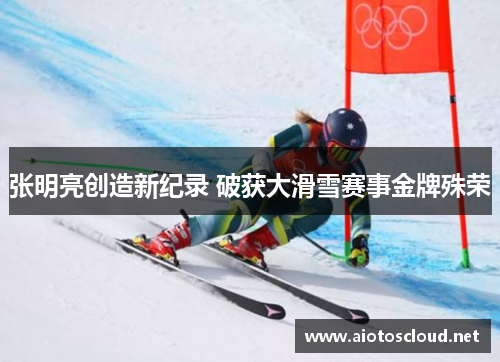 张明亮创造新纪录 破获大滑雪赛事金牌殊荣