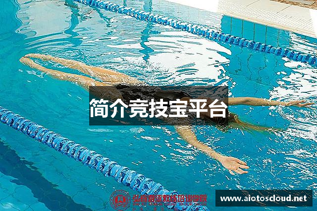 简介竞技宝平台